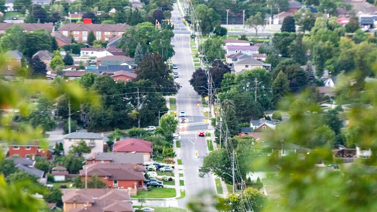 Suburban neighborhood street lined with houses and trees
